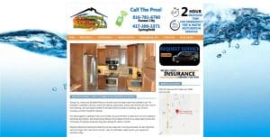 Tudux Web Design - D and S Carpet Cleaing